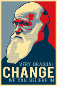 darwin